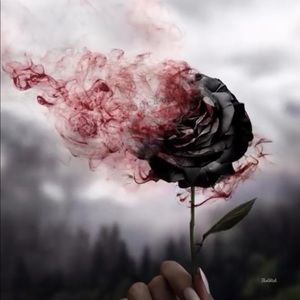 Meet your Posher, Jayda